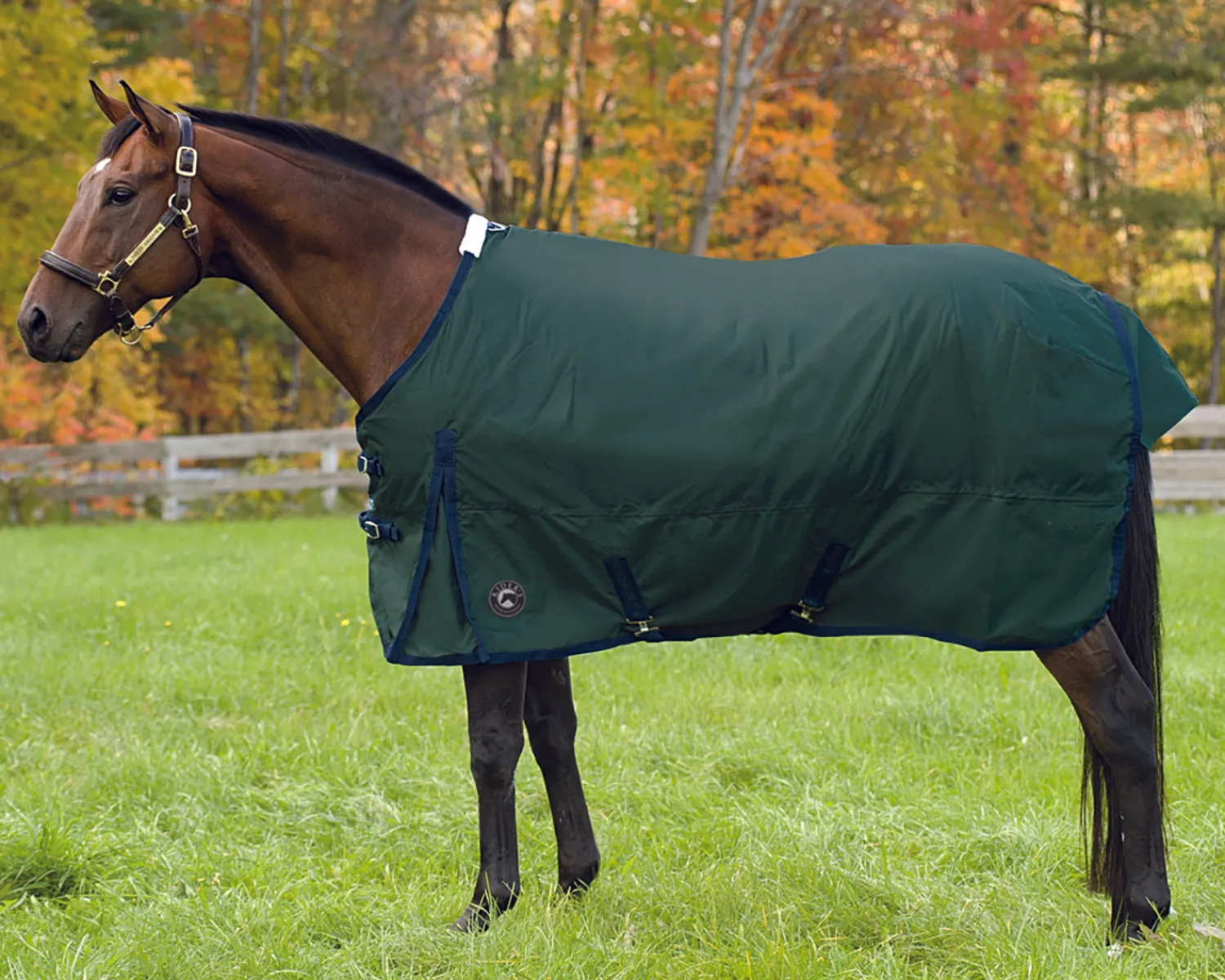 CWEAR BRANCH Rider’s International™ Supreme Medium-Weight Turnout Blanket Outlet