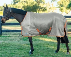 INTEX EQUESTRIAN Rider’s International™ Fly Sheet Discount