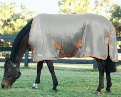 INTEX EQUESTRIAN Rider’s International™ Fly Sheet Discount