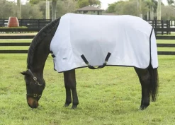 INTEX EQUESTRIAN Rider’s International™ Fly Sheet Discount