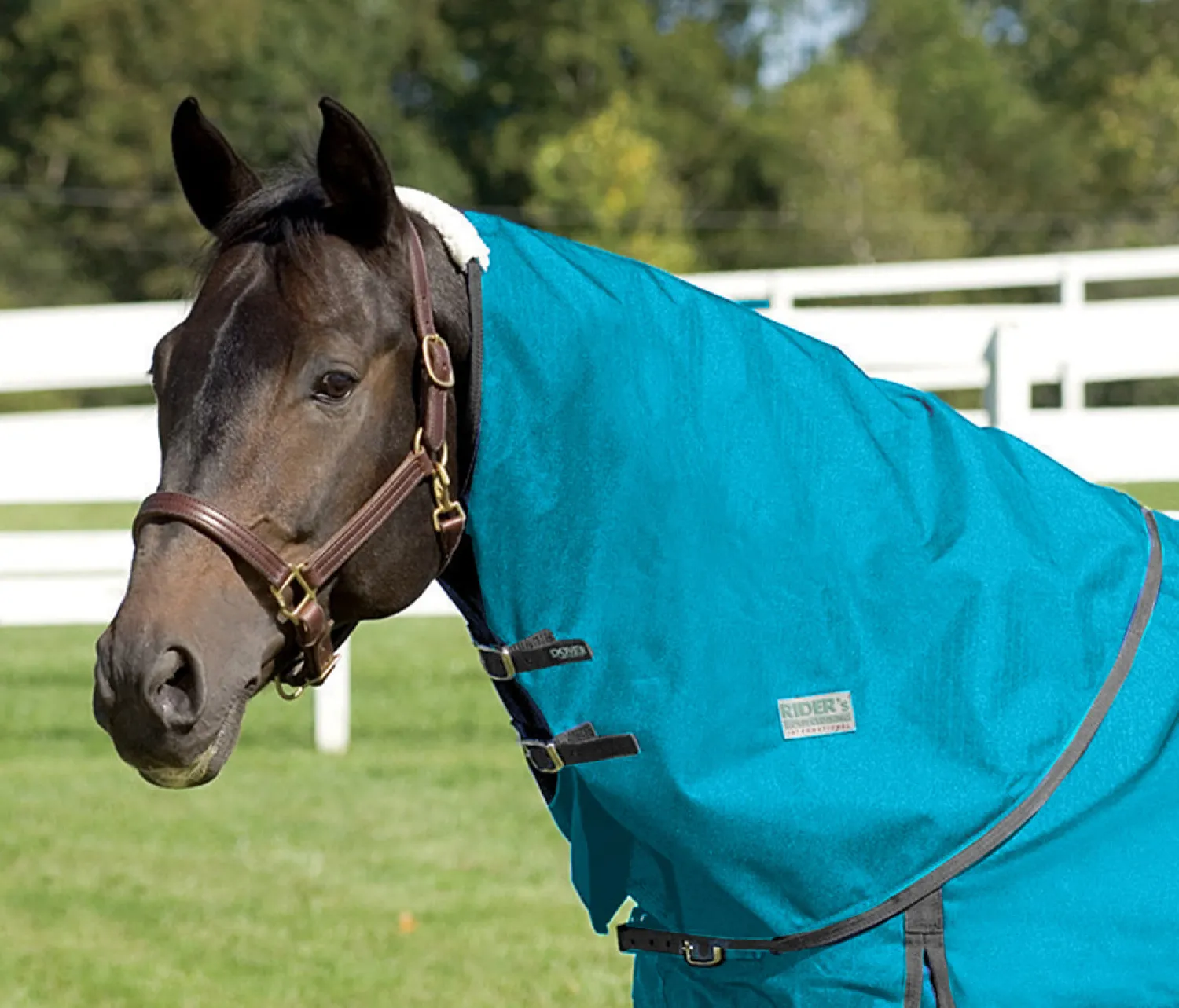CWEAR BRANCH Rider’s International™ Supreme Neck Cover Sale