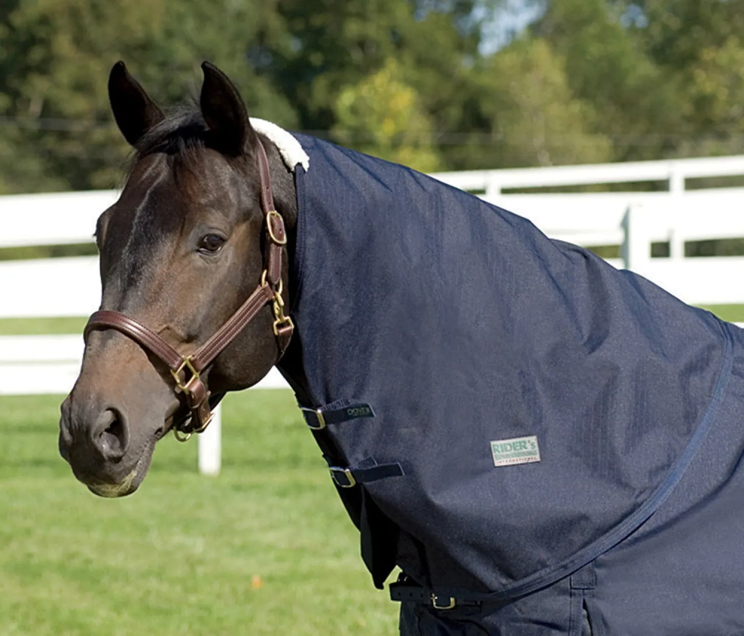 CWEAR BRANCH Rider’s International™ Supreme Neck Cover Sale