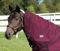 CWEAR BRANCH Rider’s International™ Supreme Neck Cover Sale