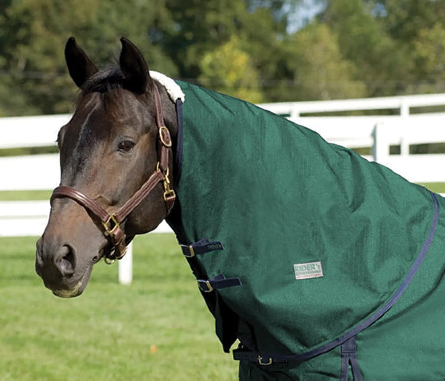 CWEAR BRANCH Rider’s International™ Supreme Neck Cover Sale