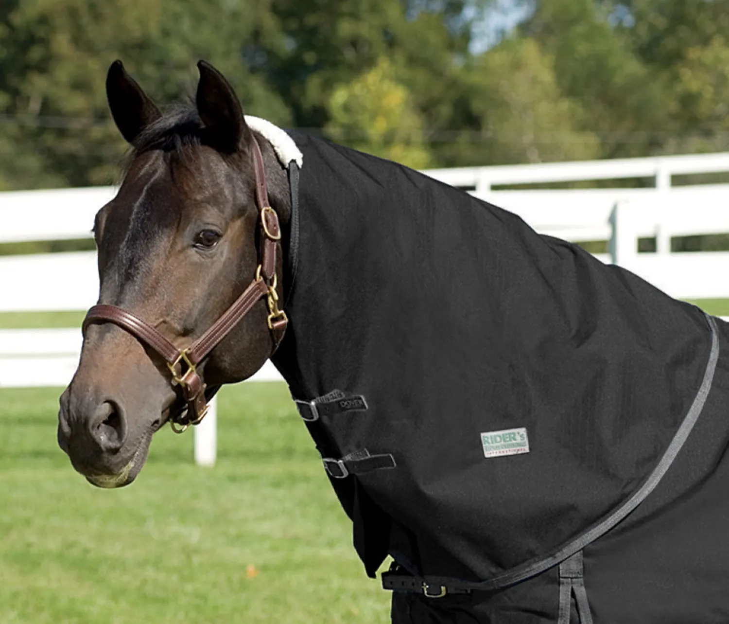 CWEAR BRANCH Rider’s International™ Supreme Neck Cover Sale
