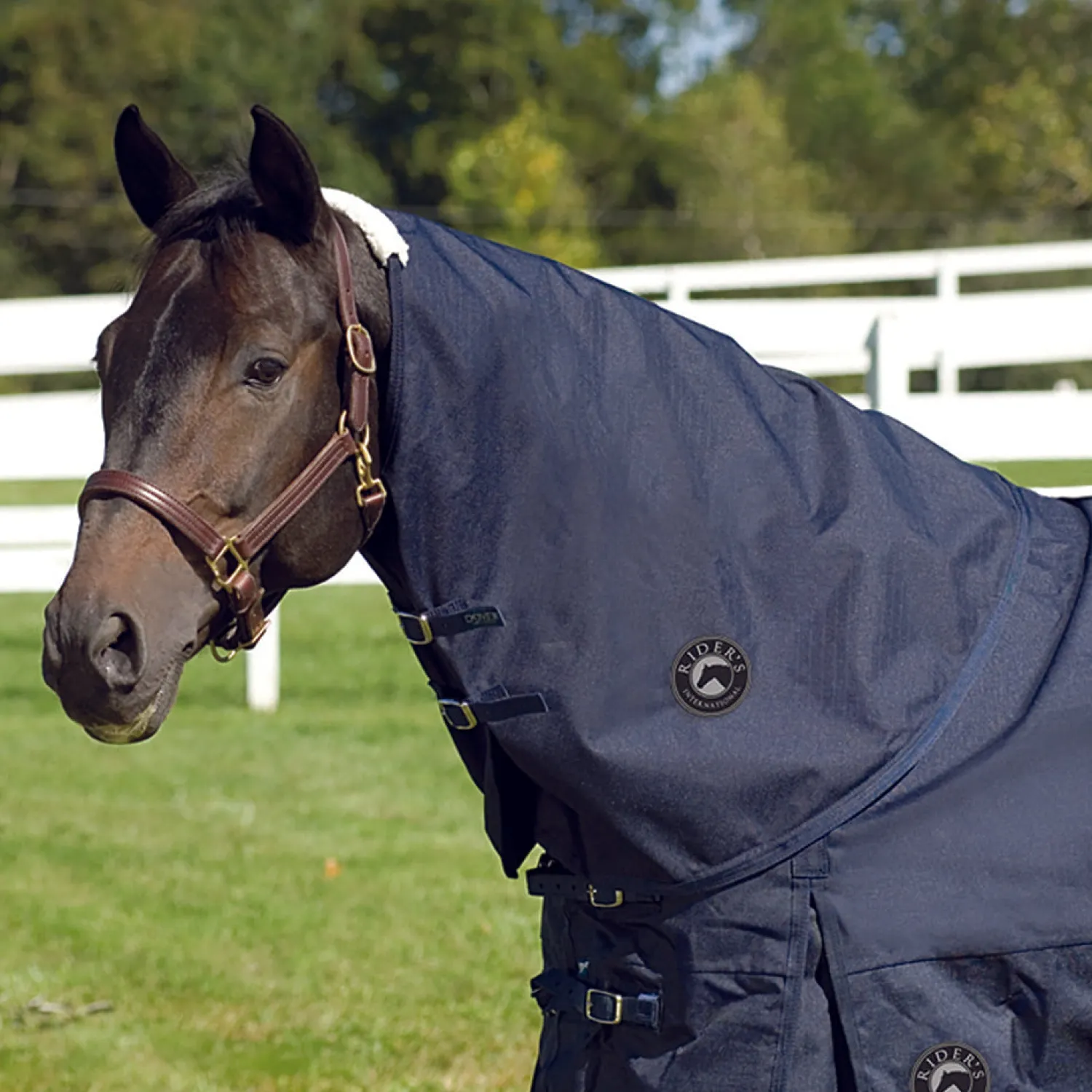 CWEAR BRANCH Rider’s International™ Supreme Neck Cover Sale