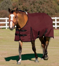 CWEAR BRANCH Rider’s International™ Supreme Turnout Sheet Best