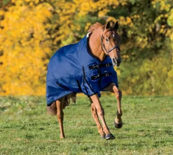 CWEAR BRANCH Rider’s International™ Supreme Turnout Sheet Best
