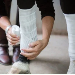 SARATOGA HORSEWORKS Saratoga Bandages (2-Pack) Clearance