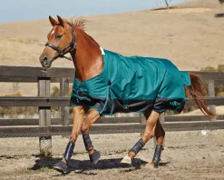 WEATHERBEETA Saxon 1200D Medium-Weight Blanket with Gussets & Standard Neck II Discount