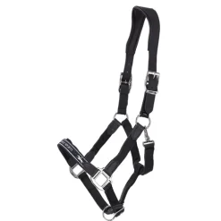 SCHOCKEMOEHLE N.A. Schockemöhle Acron Style Halter Sale