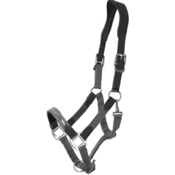 SCHOCKEMOEHLE N.A. Schockemöhle Acron Style Halter Sale