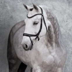 SCHOCKEMOEHLE N.A. Schockemöhle Equitus Alpha Bridle Best