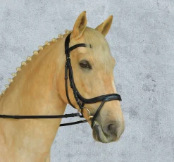 SCHOCKEMOEHLE N.A. Schockemöhle Equitus Alpha Bridle Best