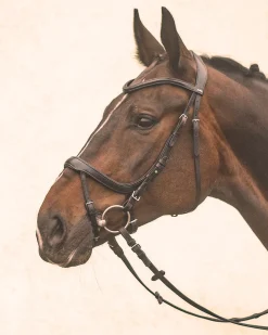 SCHOCKEMOEHLE N.A. Schockemöhle Equitus Alpha Bridle Best