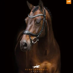 SCHOCKEMOEHLE N.A. Schockemöhle Equitus Beta Bridle Black/Silver Outlet