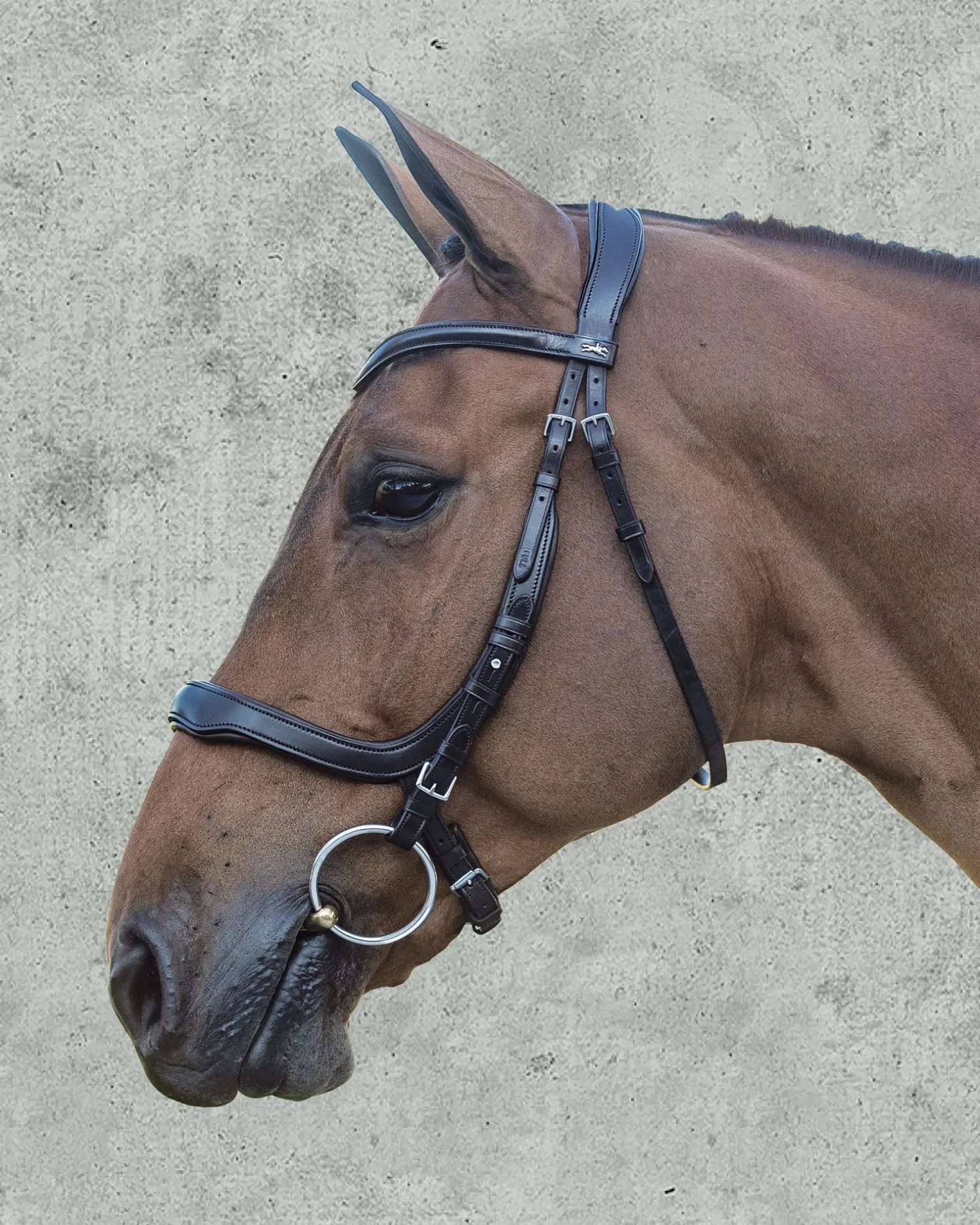 SCHOCKEMOEHLE N.A. Schockemöhle Equitus Delta Bridle Discount