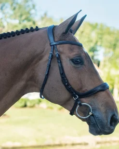 SCHOCKEMOEHLE N.A. Schockemöhle Equitus Delta Bridle Discount