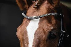 SCHOCKEMOEHLE N.A. Schockemöhle Malaga Bridle Best