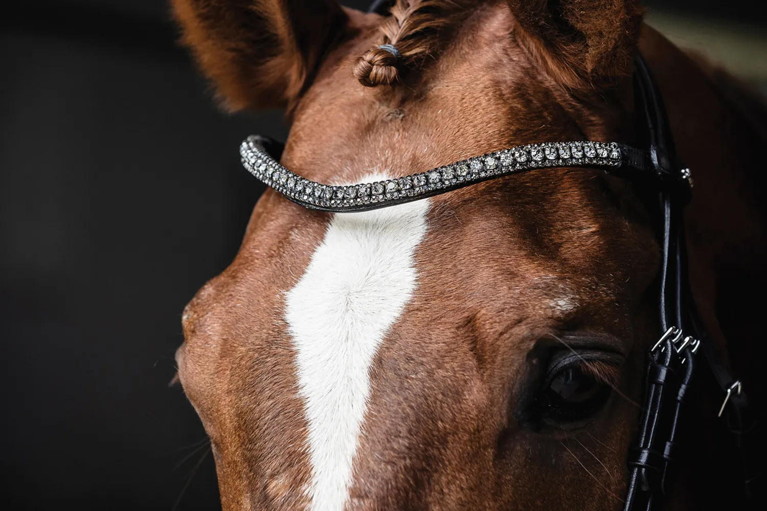 SCHOCKEMOEHLE N.A. Schockemöhle Malaga Bridle Best