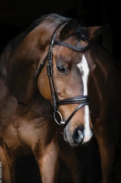 SCHOCKEMOEHLE N.A. Schockemöhle Monza Bridle Discount