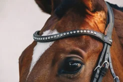 SCHOCKEMOEHLE N.A. Schockemöhle Rome Select Bridle Online