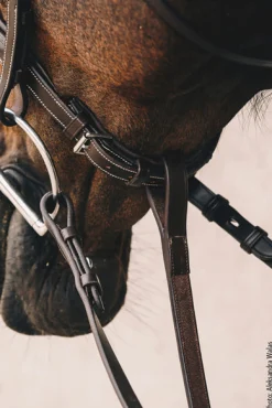 SCHOCKEMOEHLE N.A. Schockemöhle Santa Clara Standing Martingale Espresso/Silver Sale