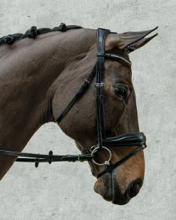 SCHOCKEMOEHLE N.A. Schockemöhle Stanford Bridle Black Best