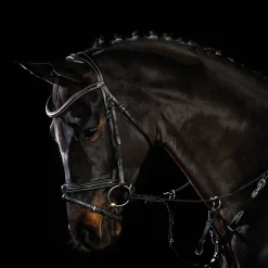 SCHOCKEMOEHLE N.A. Schockemöhle Tokyo F Bridle