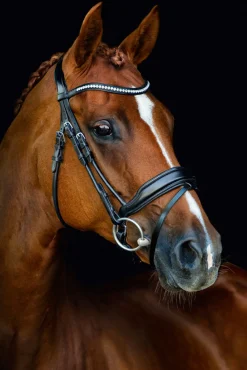 SCHOCKEMOEHLE N.A. Schockemöhle Malibu Bridle New