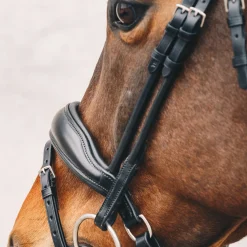 SCHOCKEMOEHLE N.A. Schockemöhle Malibu Bridle New