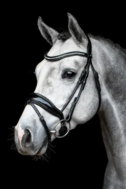 SCHOCKEMOEHLE N.A. Schockemöhle Malibu Bridle New