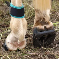 INTREPID INTL Scoot Boot Skins Glue-On - 2 Pack Clearance