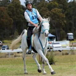 INTREPID INTL Scoot Boot Skins Glue-On - 2 Pack Clearance