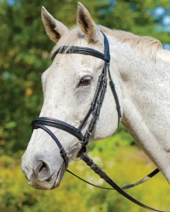 SHIRES EQUESTRIAN Shires Avignon Louisville Bridle Clearance