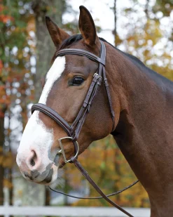 SHIRES EQUESTRIAN Shires Avignon Ocala Bridle Havana Sale