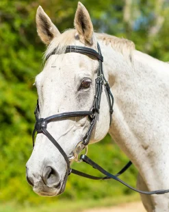 SHIRES EQUESTRIAN Shires Avignon Woodside Bridle