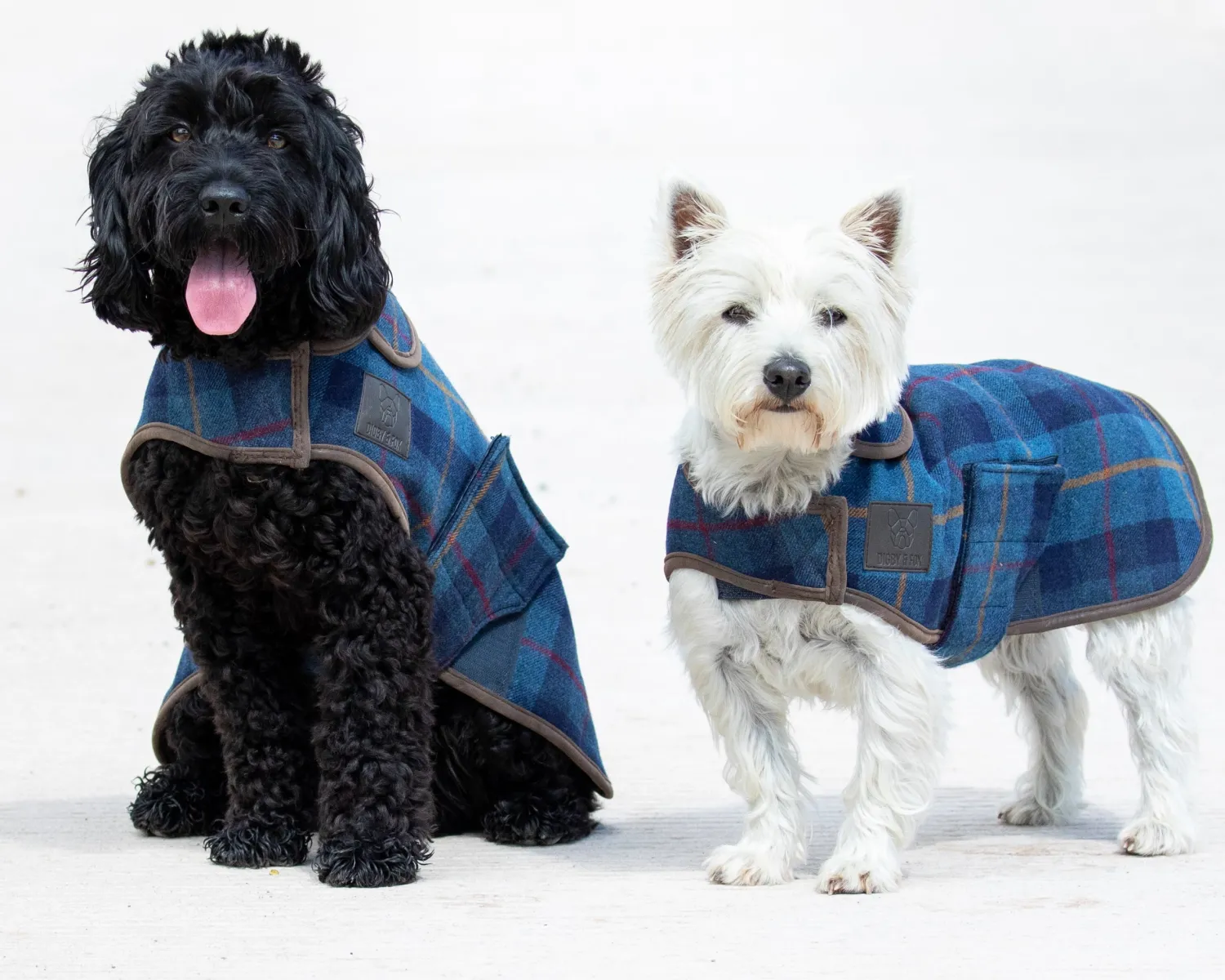 SHIRES EQUESTRIAN Shires Digby & Fox Tweed Dog Coat Online