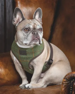 SHIRES EQUESTRIAN Shires Digby & Fox Tweed Dog Harness New