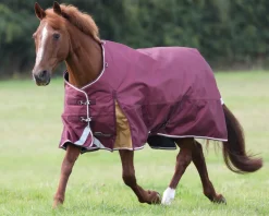 SHIRES EQUESTRIAN Shires Highlander 100G Blanket Best