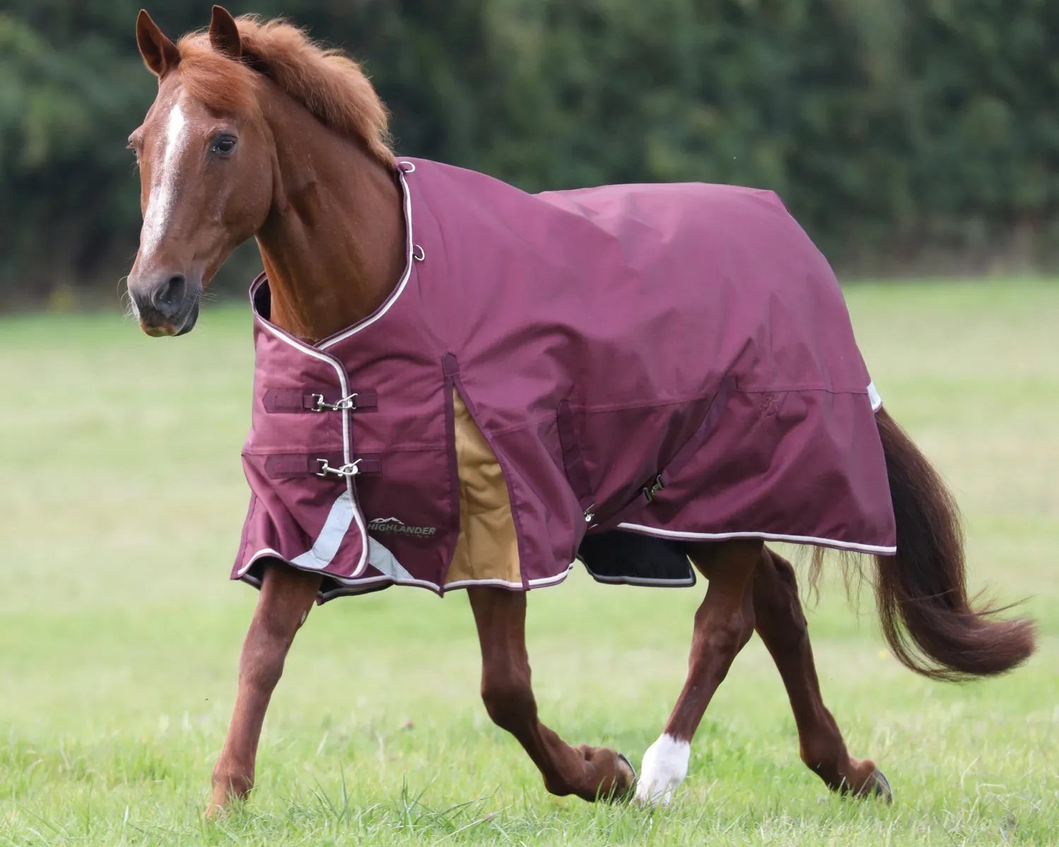 SHIRES EQUESTRIAN Shires Highlander 100G Blanket Best
