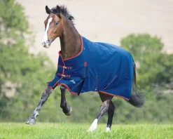 SHIRES EQUESTRIAN Shires Highlander 300G Blanket Outlet
