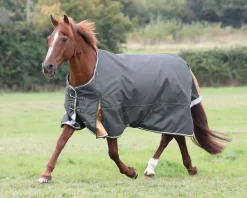 SHIRES EQUESTRIAN Shires Highlander Lite Turnout Sheet Hot