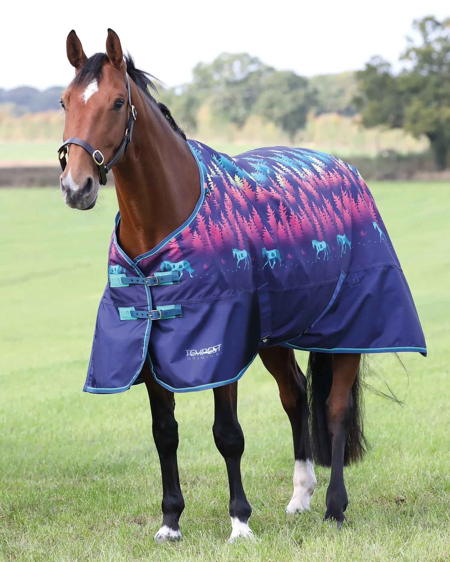 SHIRES EQUESTRIAN Shires Tempest Original Lite Turnout Sheet Clearance