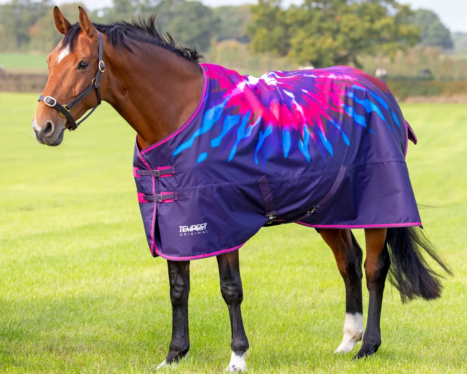 SHIRES EQUESTRIAN Shires Tempest Original Lite Turnout Sheet Clearance