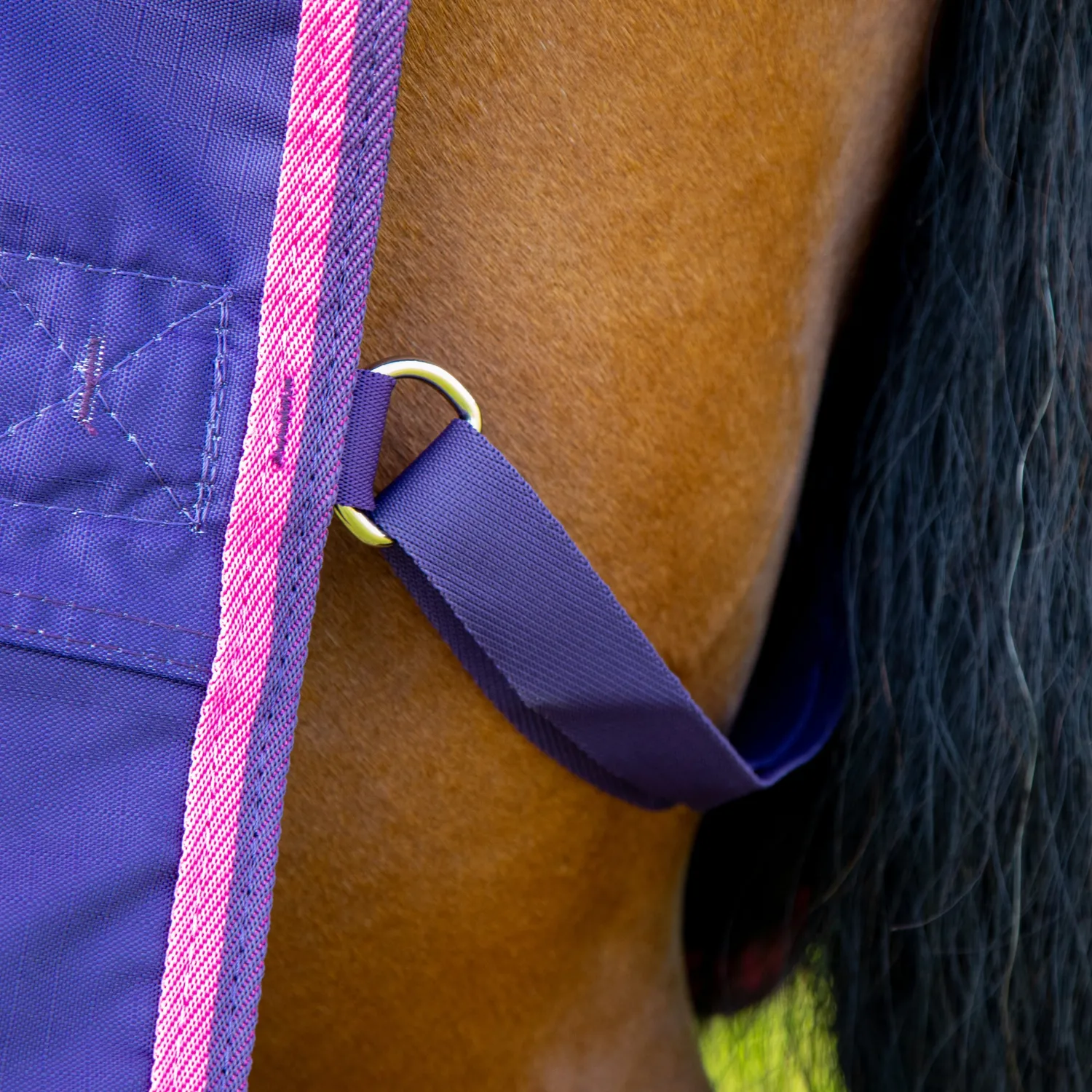 SHIRES EQUESTRIAN Shires Tempest Original Lite Turnout Sheet Clearance