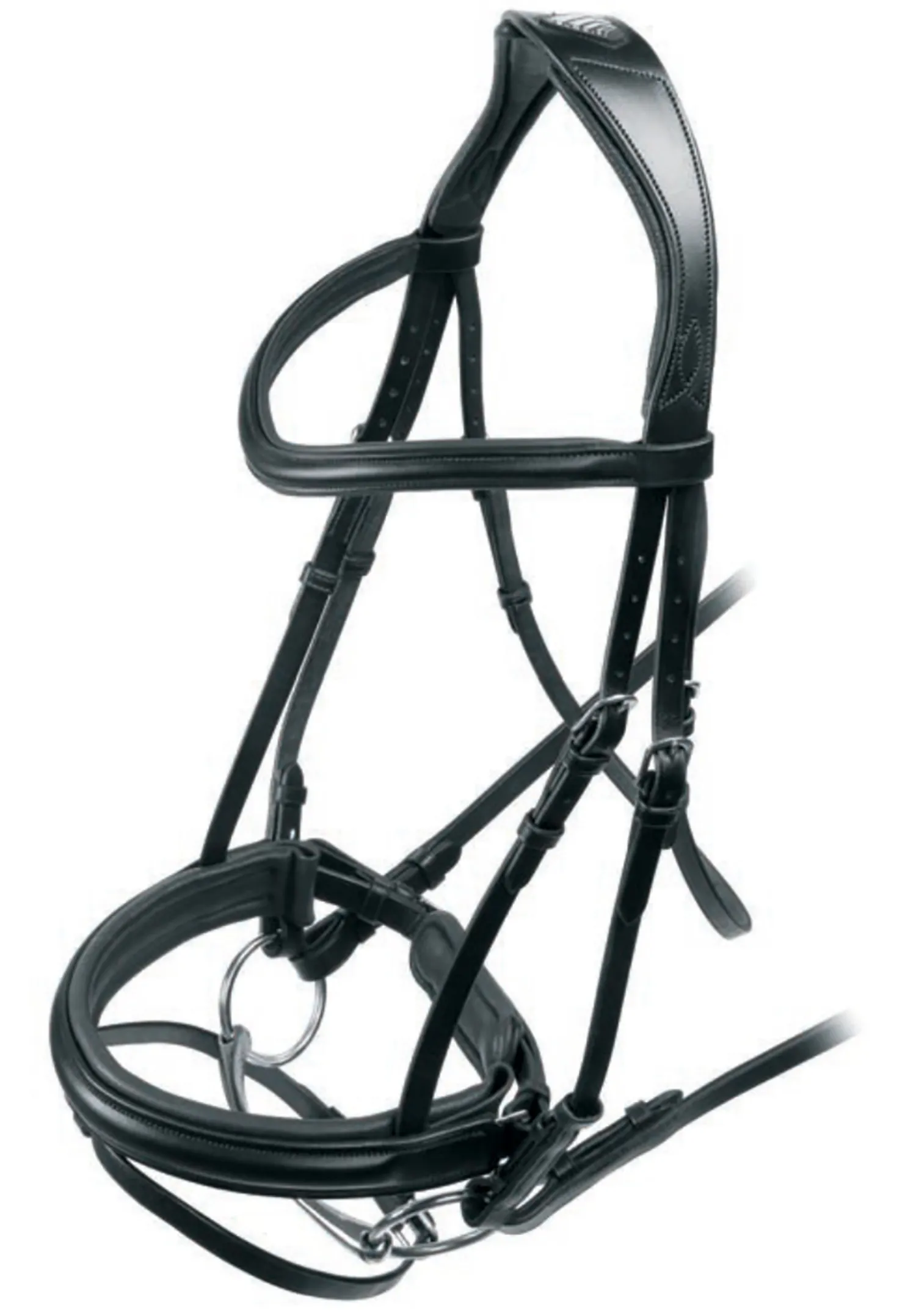SHIRES EQUESTRIAN Shires Velociti Rapida Dressage Flash Bridle Black Clearance