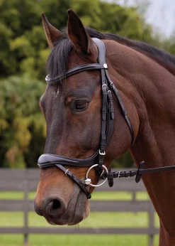 GLOBAL EXPORTS Showmark® Ergonomic Flash Bridle Hot