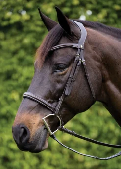 PUSHKAR INTL Showmark® Ergonomic Hunter Bridle Discount