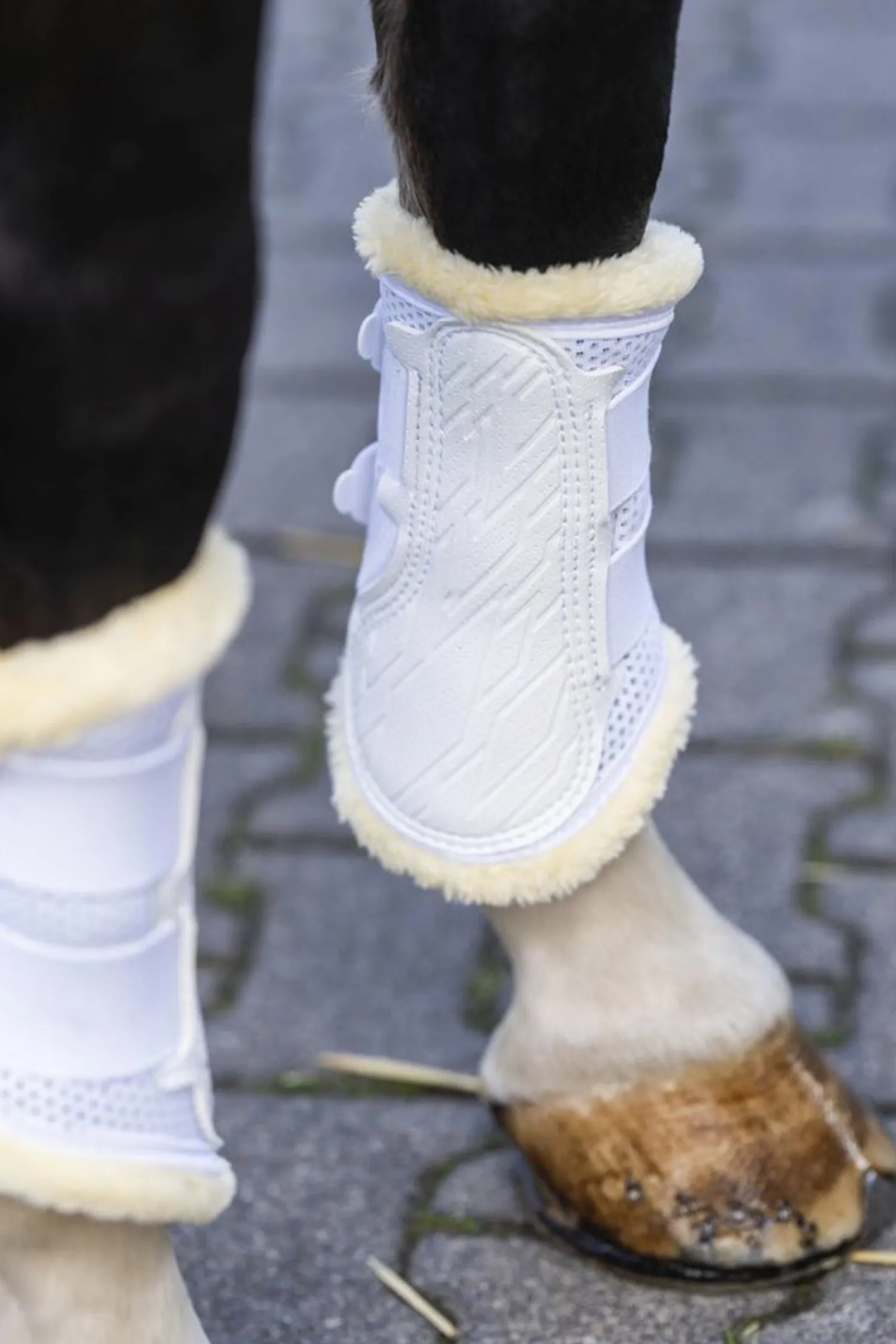 STUBBEN N.A. Stübben Airflow Fleece-Lined Brushing Boots Discount